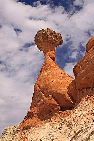 035 rimrocks, toadstool hoodoo.JPG